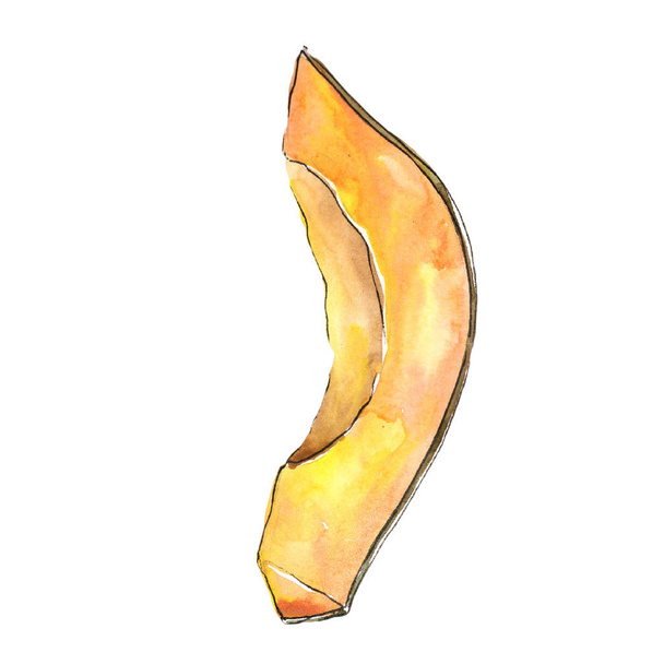 Aliments exotiques tropicaux sains dans un style aquarelle isolé. Nom complet du fruit : papaye. Saumon Aquarelle pour fond, texture, motif ou menu d'emballage
. - Photo, image