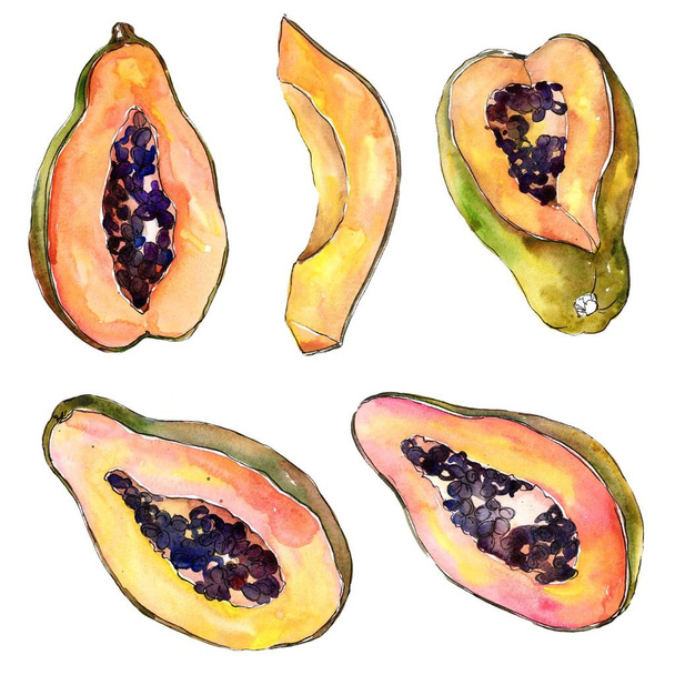 Cibo esotico tropicale sano in stile acquerello isolato. Nome completo del frutto: papaya. Frutta selvatica di acquavite per sfondo, consistenza, motivo a involucro o menu
. - Foto, immagini