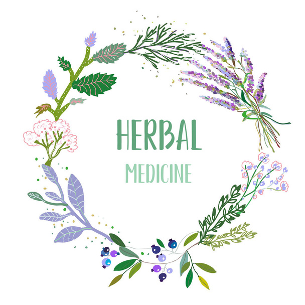 Herbal medicine card or label with frame - flowers, plants and herbs. Vector graphic illustration - Vector, Imagen