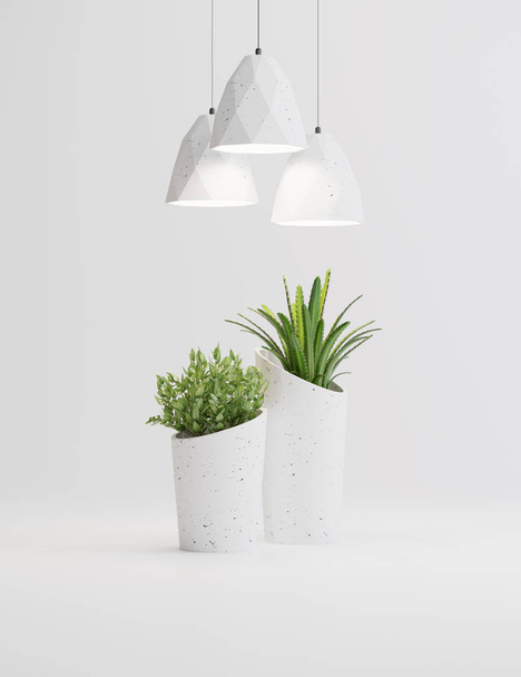 Stúdió lövés lámpák és növények vázák, fehér háttér - Fotó, kép