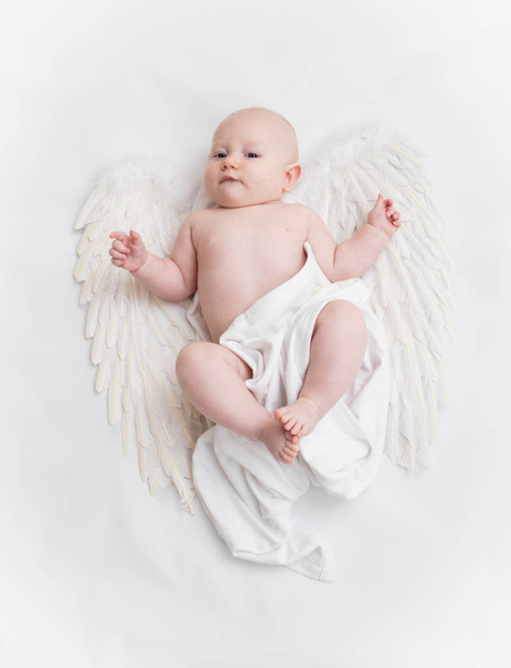 Baby portrét na bílém pozadí - Fotografie, Obrázek