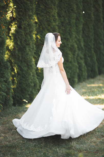 Beautiful luxury young bride in wedding dress posing in park - Photo, Image