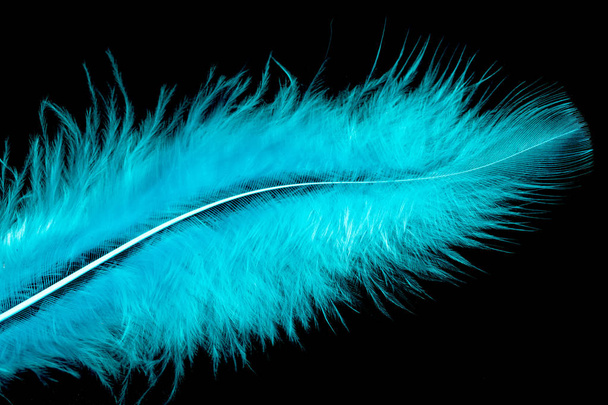 colorful bird feather on a black background - Photo, Image
