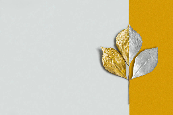Ezüst és arany ág, levelekkel, két színű háttérrel. Megközelítés az ősz. Minimál stílus. Eredeti őszi háttér - Fotó, kép