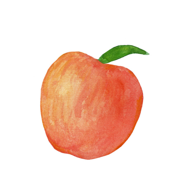 Aquarel apple op de witte achtergrond, geïsoleerde, gezonde voeding - Foto, afbeelding