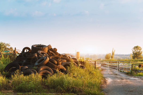 Polluted environment with old used car tyres - Photo, Image