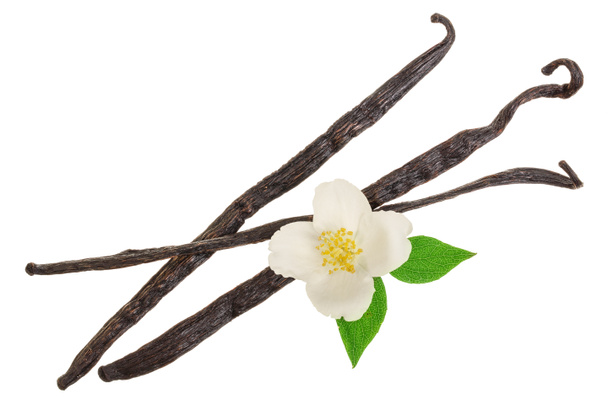 Vanillestangen mit Blüte und Blatt isoliert auf weißem Hintergrund. Ansicht von oben. flache Lage - Foto, Bild