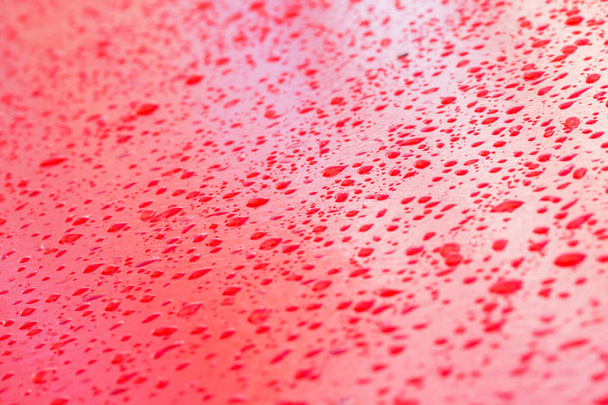 raindrops on a red wall - 写真・画像