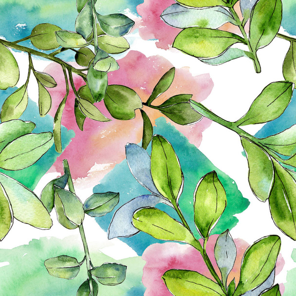 Akvarell puszpáng zöld levél. Leveles növény botanikus kert virágos lombozat. Varratmentes háttérben minta. Az Aquarelle levél a háttér textúra, burkoló minta, keret vagy határ. - Fotó, kép