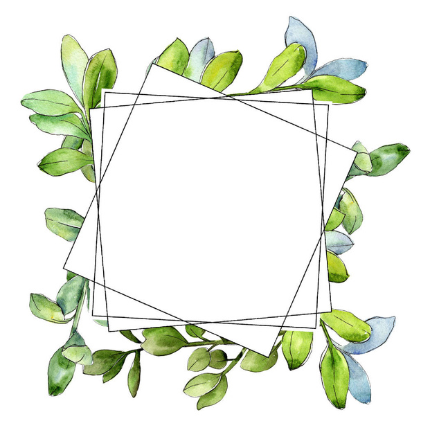 Aquarel Buxus groen blad. Blad plant botanische tuin floral gebladerte. Frame grens ornament vierkant. Aquarelle blad voor achtergrond, textuur, wrapper patroon, frame of rand. - Foto, afbeelding