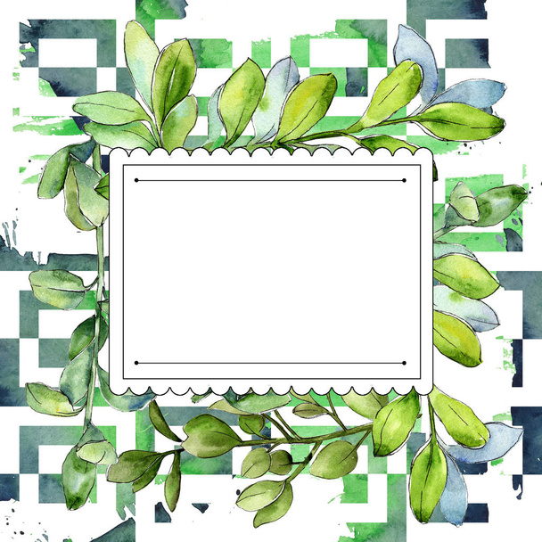 Watercolor boxwood green leaf. Leaf plant botanical garden floral foliage. Frame border ornament square. Aquarelle leaf for background, texture, wrapper pattern, frame or border. - Φωτογραφία, εικόνα