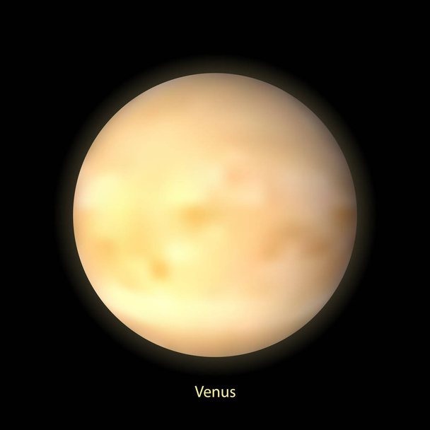 Gerçekçi gezegen Venüs. Vektör eps10. - Vektör, Görsel