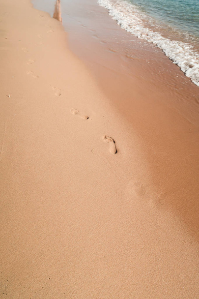 homokos tengerparttól, táj - Fotó, kép