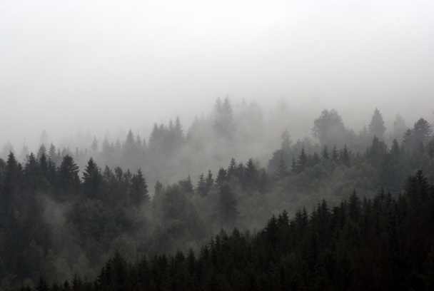 Foggy montagnes
 - Photo, image