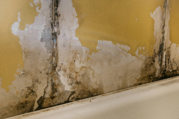 Το παλιό τείχος στο μπάνιο είναι καλυμμένο με μούχλα - Φωτογραφία, εικόνα