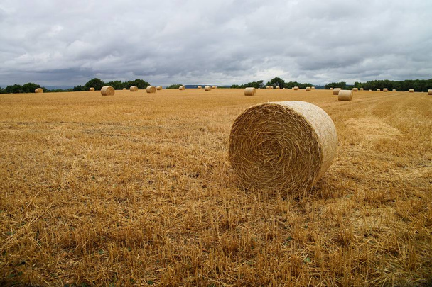 Щетинистое поле с тюками соломы. Красивый летний сельский пейзаж. Англия, Котсуолдс, Глостершир
 - Фото, изображение