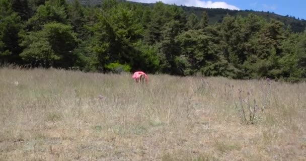 Approaching a four years old blonde crouched girl looking at flowers  in the countryside of Guadarrama mountains, Madrid, Spain, Europe. 4k video - Footage, Video