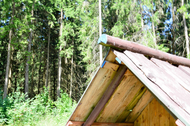 Spadzisty dach trójkątne małe drewniane zdezelowany starych hut dom w lesie dzienników desek na tle drzew - Zdjęcie, obraz