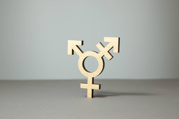 Symbol of transgender from tree on gray - Фото, изображение
