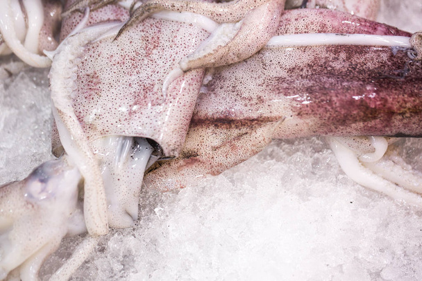Close up food image of raw frozen squid on ice on the market - Foto, Imagen