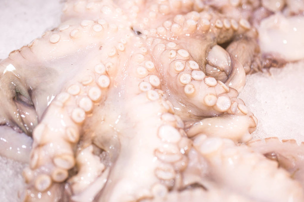 Close up food image of raw frozen octopus on ice on the market - Foto, imagen