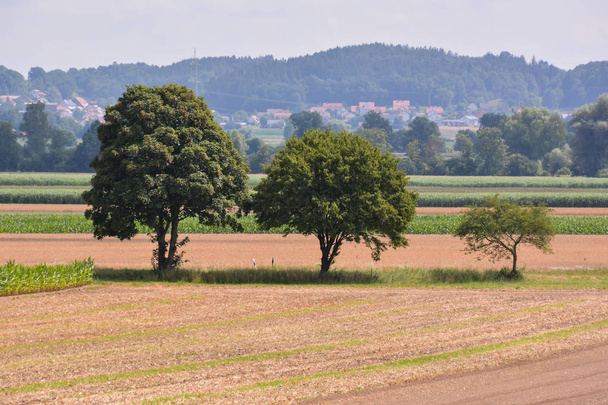 Foto Foto Vista del campo cultivado en el campo - Foto, Imagen
