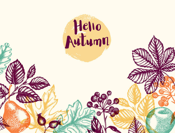 Autumn background with falling leaves, fruits and berries. Vintage vector hand drawn autumn floral banner for seasonal sale. - Vector, imagen