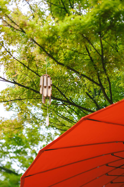 Japanese wind chimes wooden bamboo bells handed on tree in Japanese garden with red umbrella - low angle tilt-shift lens - Photo, Image