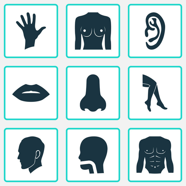 Körpersymbole mit Bein, Mundhöhle, Handfläche und anderen menschlichen Elementen. isolierte Abbildung Körpersymbole. - Foto, Bild