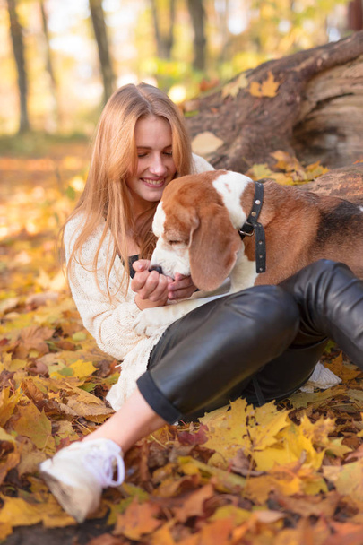 Joven hermosa mujer caminando con un beagle en el parque de otoño
. - Foto, imagen