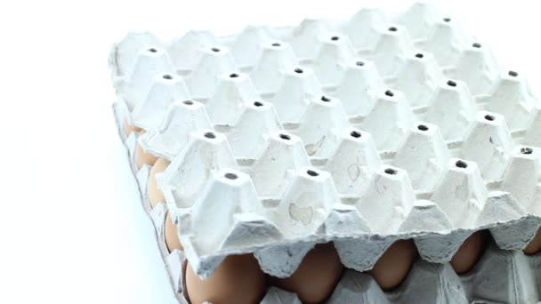 Eier auf Tablett sortieren - Filmmaterial, Video