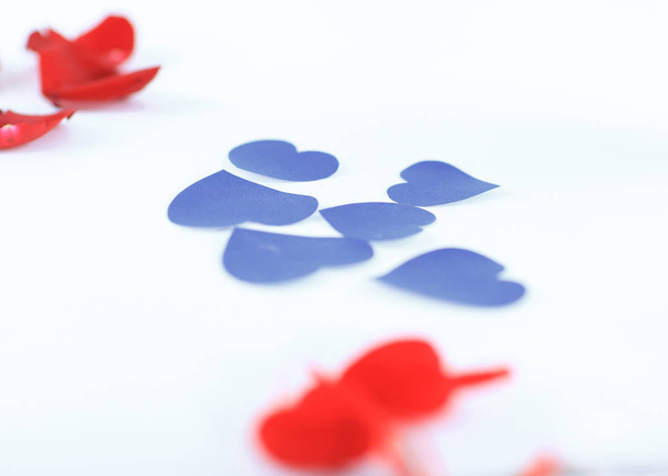 blue hearts and pink petals on white background.photo with copy  - Fotografie, Obrázek