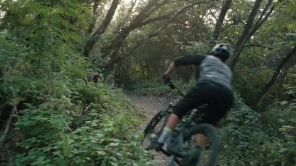 cyclist rides along forest road back to camera, slow motion - Filmmaterial, Video