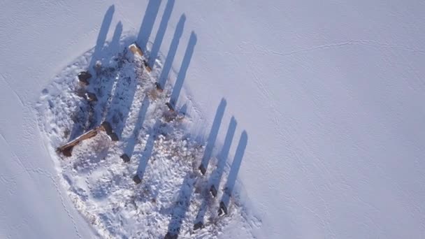 Winter veld Krimulda Letland luchtfoto drone bovenaanzicht 4k Uhd video - Video