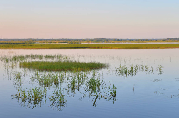 Wetland lake Sestroretsky Razliv at sunset in Saint Petersburg, Russia. - Фото, зображення