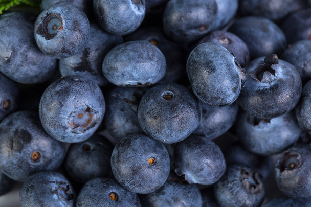 Freshly picked blueberries, close up view - Photo, image