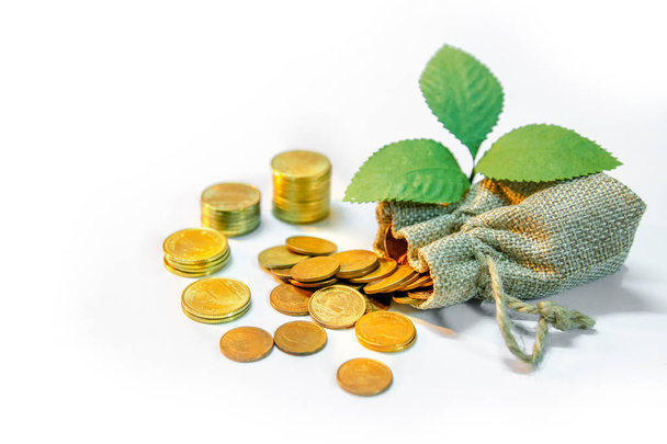 Monedas de oro apiladas y derramadas de la bolsa de dinero con planta verde en la mesa blanca. Ahorro de dinero para el concepto futuro. Fondo de negocio y moneda
 - Foto, Imagen