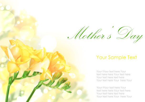 Свежие весенние цветы тюльпанов, украшенные белым
 - Фото, изображение