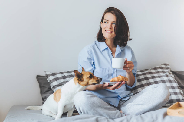 Dreamful smiling female with dark hair wears domestic clothes, has breakfast in bed, sits near her favourite pet who smells delicious croissant, enjoys rest and weekends. People and relaxation - Fotoğraf, Görsel