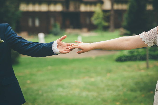 beautiful wedding couple holding hands together in the park - 写真・画像
