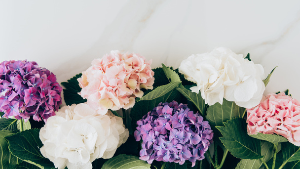 felülnézet háttér színes Hortenzia virágok, márvány felületre  - Fotó, kép