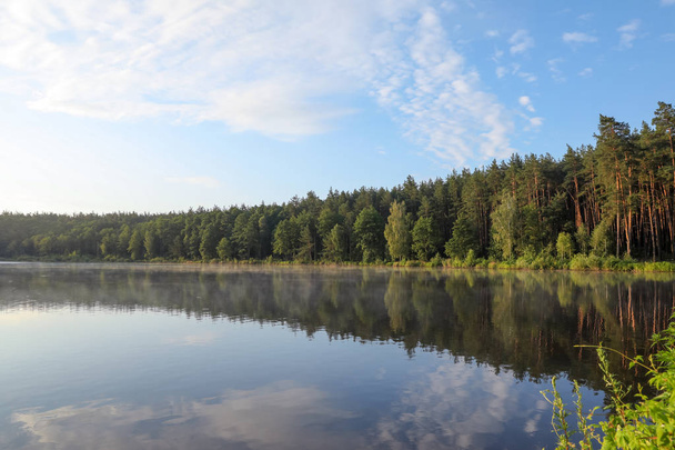 Beautiful landscape with forest near lake. Camping season - Fotoğraf, Görsel