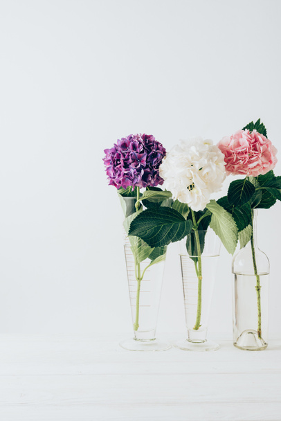 pink, purple and white flowers of hydrangea in glass vases, on white - Foto, imagen