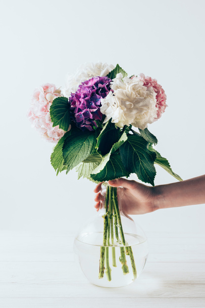 partial view of woman holding vase with pink, white and purple hydrangea flowers, on white - Foto, Imagem