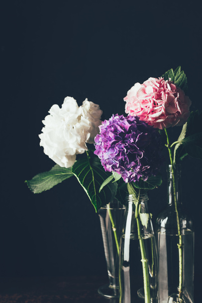 pink, white and purple hortensia bloom in glass vases, on black - Foto, Bild