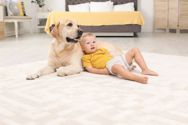 Adorable yellow labrador retriever and little boy at home - Foto, Imagen