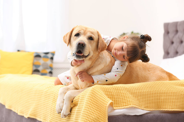 Adorable yellow labrador retriever and little girl on bed at home - Foto, Bild