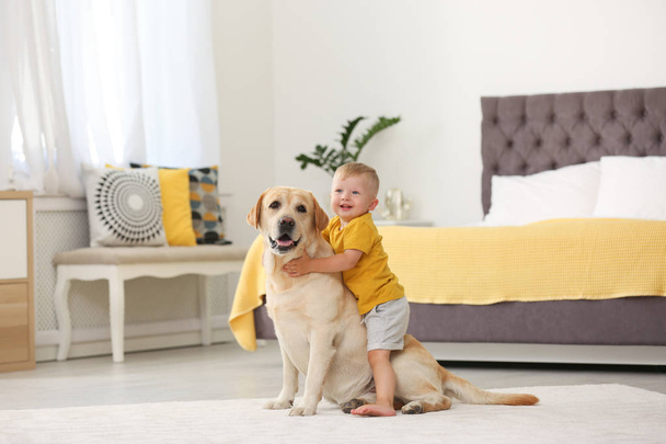 Adorable yellow labrador retriever and little boy at home - Foto, afbeelding