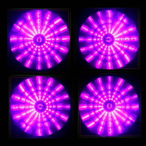 tanning lamps UV, closeup view - Photo, Image