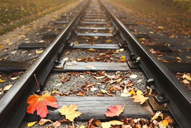 Ferroviária espalhada com folhas de outono caídas
 - Foto, Imagem